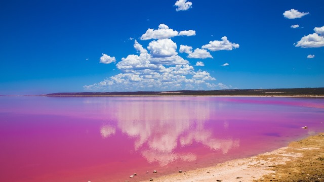 Pink Lake – Australia