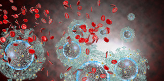 HIV – dlaczego warto się badać Aids HIV Virus