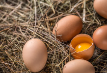 Wielkanoc w wersji bio Jajka bio na wielkanoc