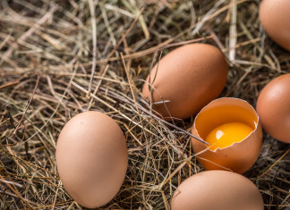 Wielkanoc w wersji bio Jajka bio na wielkanoc