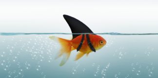 Internet o podróbkach Podróbka a dyskusje w internecie