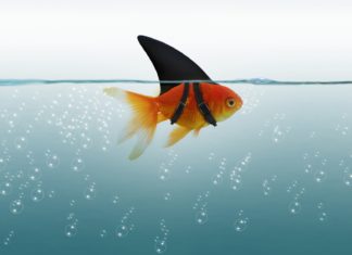 Internet o podróbkach Podróbka a dyskusje w internecie