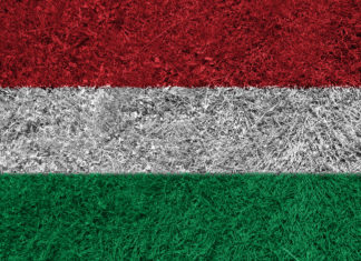 Węgierska droga do Euro 2016 z historią w tle Węgrzy na Euro 2016