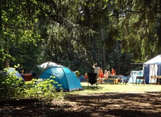 O czym pamiętać wysyłając dziecko na obóz Obóz w lesie