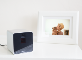 Petcube dostępny dla polskich zwierzaków Kostka Petcube niania do zwierząt