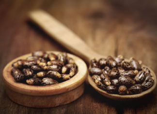 Olej rycynowy – od starożytnych bloków skalnych do szerokich zastosowań medycznych Zastosowania oleju rycynowego