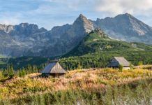 Nawet 27 tys. zł za urlop w Zakopanem Polish Tatra Nocleg w Zakopanemmountains Hala Gsienicowa