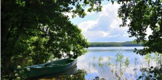 7 najpiękniejszych tras nordic walking w Polsce Barlinek Nordic Walking