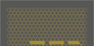 Premiera książki „Rodowód” Ester Kreitman – starszej siostry Isaaca Singera Rodowód