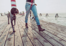 Trening bez wysiłku. Jak chodzić efektywnie? Jak chodzić efektywnie