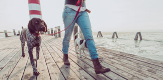 Trening bez wysiłku. Jak chodzić efektywnie? Jak chodzić efektywnie