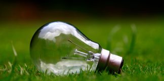 7 prostych zasad ekologicznego postępowania w każdym domu