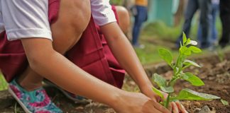 3 korzyści z bycia eko – dlaczego warto być bardziej przyjaznym dla środowiska? Jak być eko