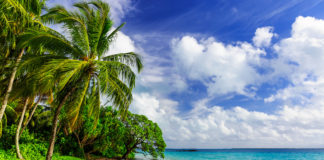 Lecisz tam na wakacje? Uważaj na śmiertelne choroby szczepienia przed wyjazdem