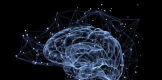 Nowoczesna medycyna odkrywa tajemnice mózgu aktywność mózgu