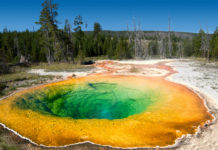 Tęczowe wody – gdzie zobaczysz najpiękniejsze jeziora na świecie Morning Glory Pool Yellowstone National Park, Wyoming, USA
