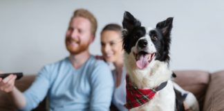 Prowadzisz kanapowy styl życia? Grozi ci nie tylko nadwaga siedzący tryb życia