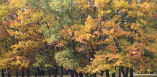 Zwiedzanie Warszawy w weekend – co warto zobaczyć? Zwiedzanie Warszawy w weekend - park