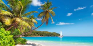 Uroki czarteru jachtów na Karaibach Piaszczysta plaża na karaibach