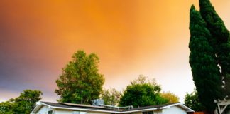 Ile kosztuje ochrona domu? Dom