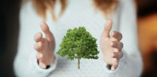 Jak możesz zadbać o środowisko? Paląc ekogroszkiem! Ochrona środowiska naturalnego