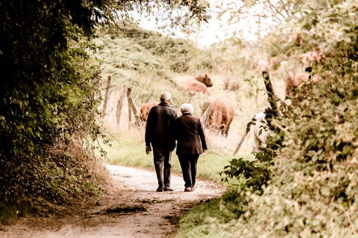 Dziadkowie na wsi na spacerze