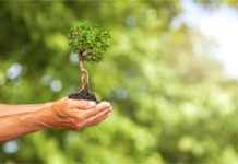 Od dziś żyjemy na ekologiczny kredyt kredyt ekologiczny