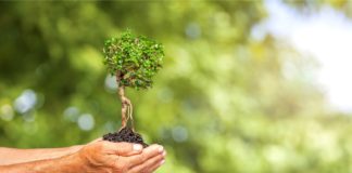 Od dziś żyjemy na ekologiczny kredyt kredyt ekologiczny