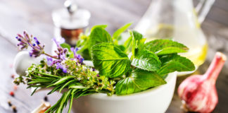 Zioła, które musisz mieć w kuchni uprawa ziół