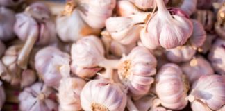 Poznaj siłę czosnku! Oto jego właściwości Czosnek