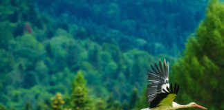 Polska na wakacje gdzie w Polskę na wakacje