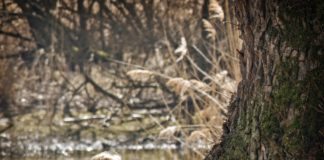 Co musisz wiedzieć o złym nastroju Kobieta w parku na ławce