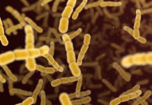 Paciorkowce anginowe niszczą serce – 9 mitów o objawach, diagnostyce i leczeniu infekcji paciorkowce angina