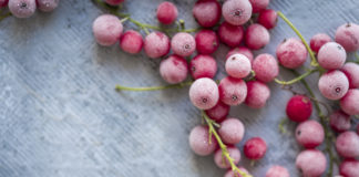 Jak wydłużyć świeżość i zdatność do spożycia zakupionych produktów? zamrożone czerwone porzeczki