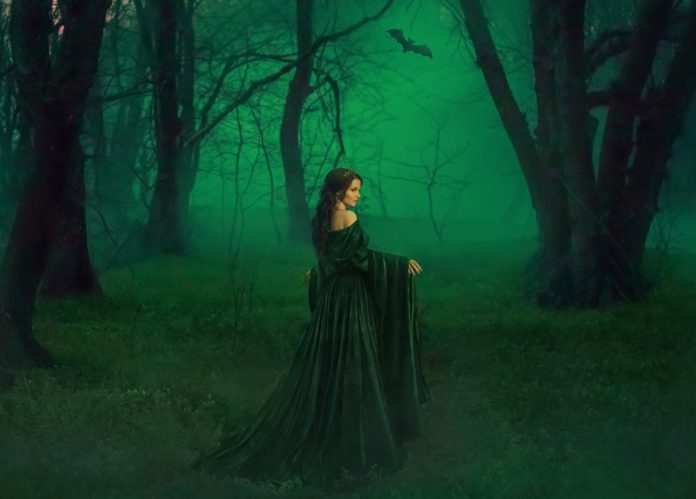 czarownica w lesie