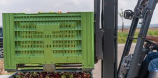 Jakie są typowe zastosowania skrzyniopalet? załadunek skrzyniopalet z jabłkami