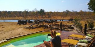 Najciekawsze miejsca w Zimbabwe, których nie znałeś Obozowisko Khulu w Parku Hwange