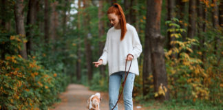 Jak szkolić psa samodzielnie? dziewczyna tresująca psa