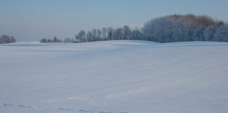 Gdzie na biegówki? Wzgórza Dylewskie