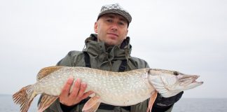 Jak dobrać wędkę na szczupaka? Wskazówki, parametry, przykładowe modele wędka na szczupaka