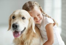 Małe dzieci i zwierzęta pod jednym dachem – na co trzeba zwrócić uwagę? dziewczynka z labradorem