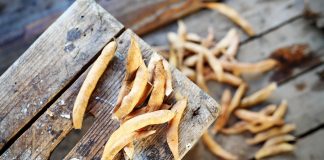 Które rośliny strączkowe warto włączyć do diety wysokobiałkowej? Rośliny strączkowe