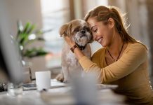 Najpopularniejsze rasy psów na niewielki metraż. Jaki pupil odnajdzie się w małym mieszkaniu? kobieta z psem shih tzu