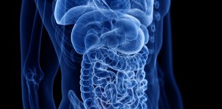 Po co nam wyrostek robaczkowy? anatomia wyrostek robaczkowy