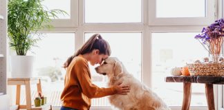 Zrozumieć psa kobieta i pies