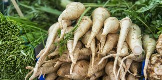 To warto wiedzieć na temat pietruszki korzenie pietruszki