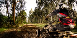 Quad nowy lub używany – na co zwrócić uwagę przy zakupie? quad w lesie