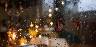 Mroczne książki na jesień – propozycje klimatycznych lektur książki na deszczową jesień