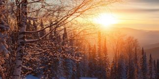 Jak zabezpieczyć daszek nad drzwi na zimę? arctom zima