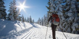 Narty biegowe – od czego zacząć? człowiek na biegówkach